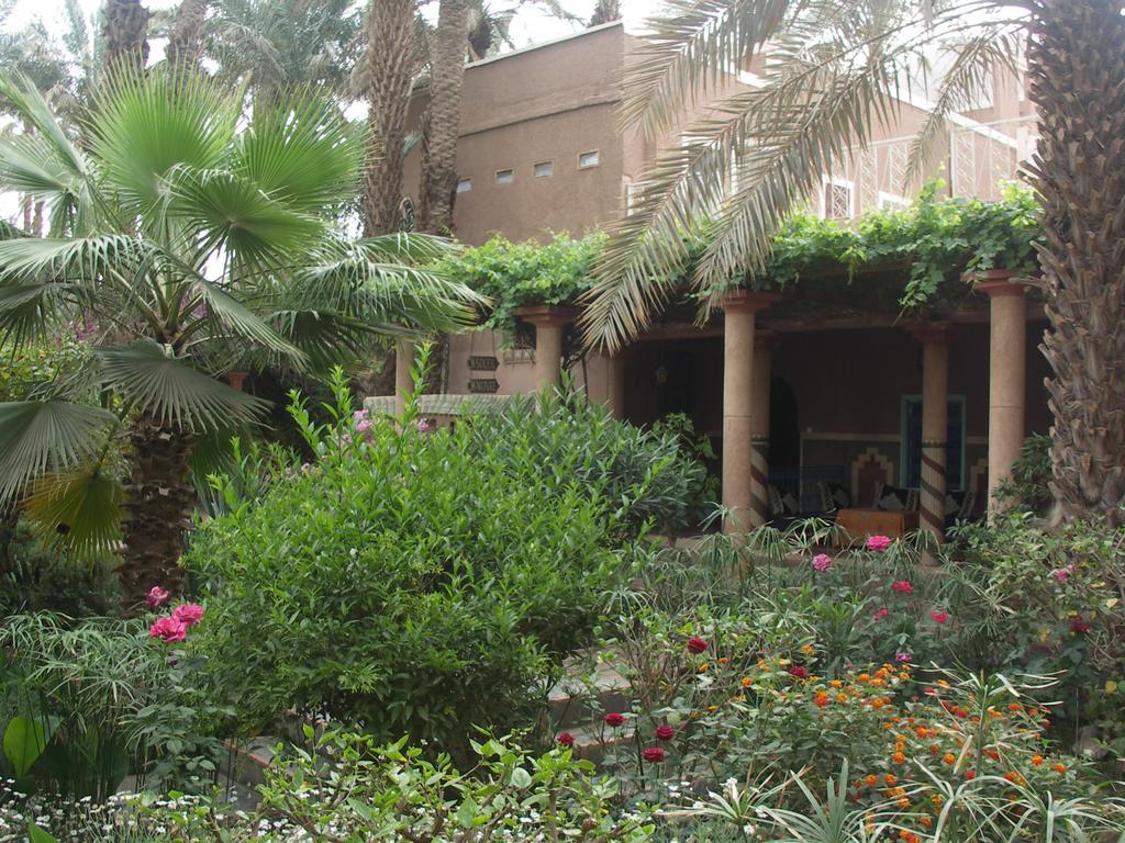 Fibule Du Draa Kasbah D'Hotes Zagora Exterior foto