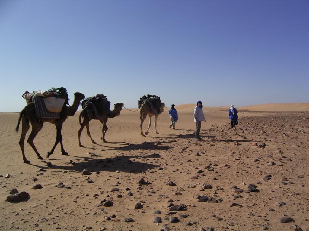 Fibule Du Draa Kasbah D'Hotes Zagora Exterior foto