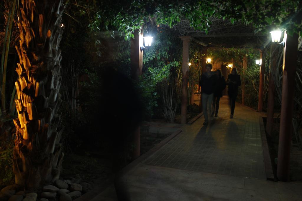 Fibule Du Draa Kasbah D'Hotes Zagora Exterior foto
