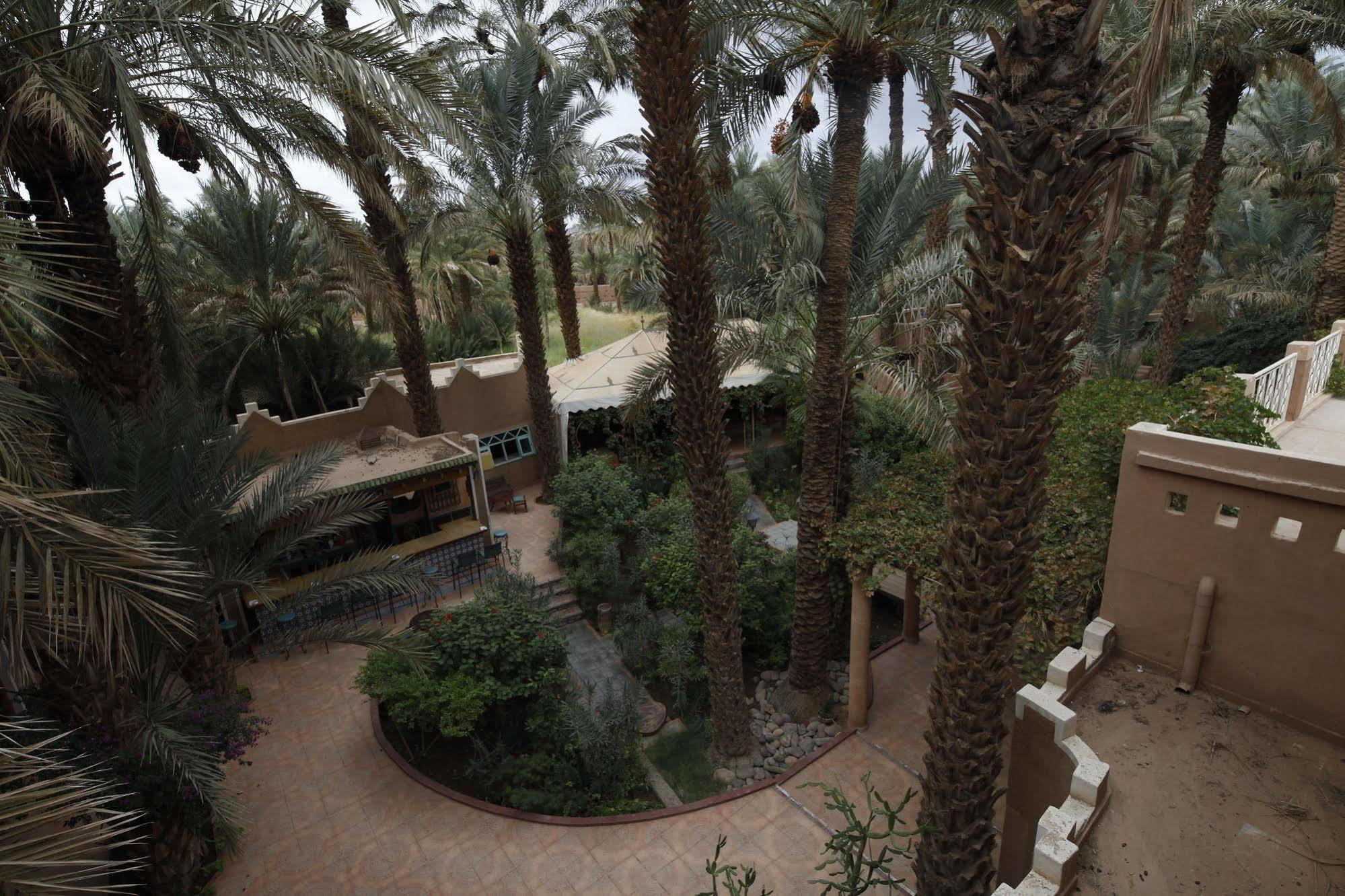Fibule Du Draa Kasbah D'Hotes Zagora Exterior foto
